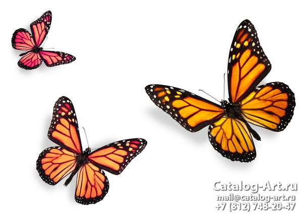  Butterflies 59